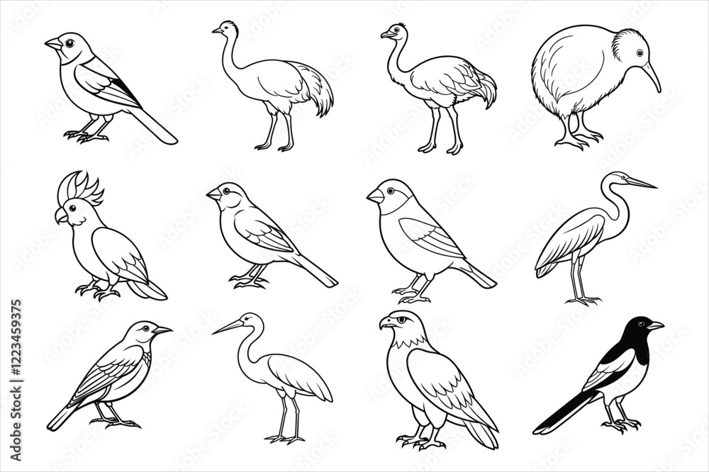 Obraz premium set of birds