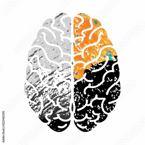 Brain gray and color vector illustration (3)