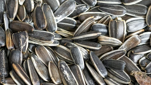 sunflower seeds with a visible texture. background