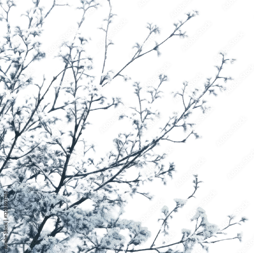 Obraz premium Frosty branches in a winter fog, transparent background png