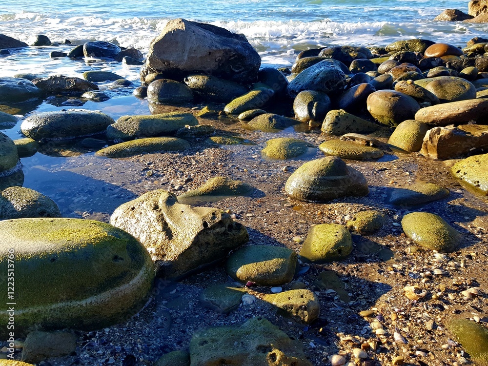 Obraz premium rocks on the beach in the evening light, beautiful photo digital picture