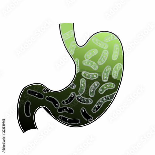 Bad human stomach vector illustration (7)