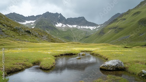 Scenic alpine valley with stream and snowcapped mountains under cloudy sky photo