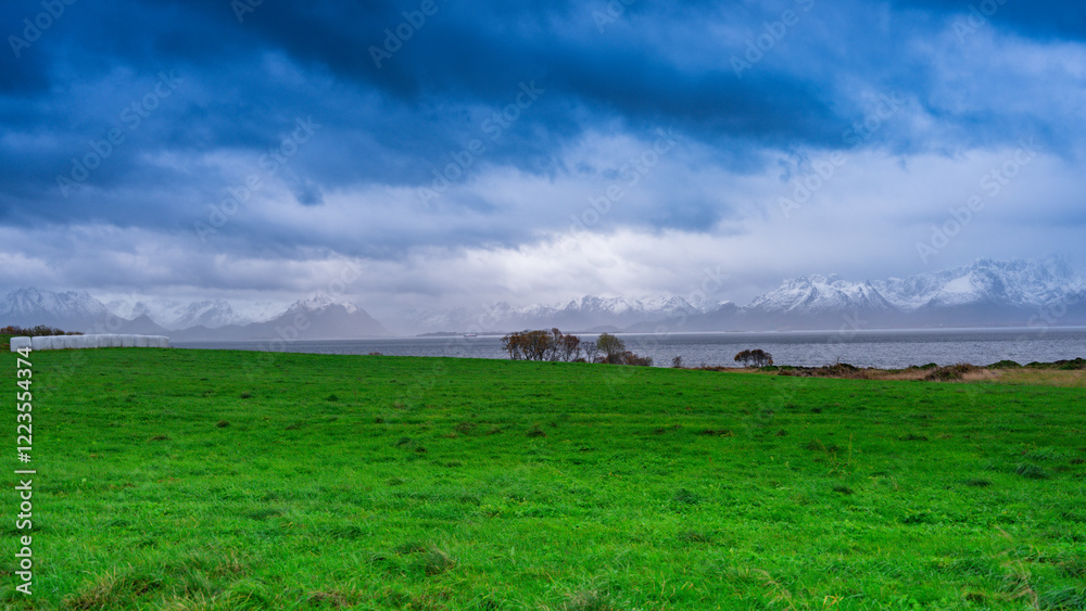 Obraz premium Bright green Field With blue clouds and sky With Mountains in The background