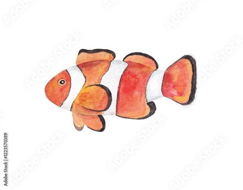 Illustration of a clown fish in watercolor