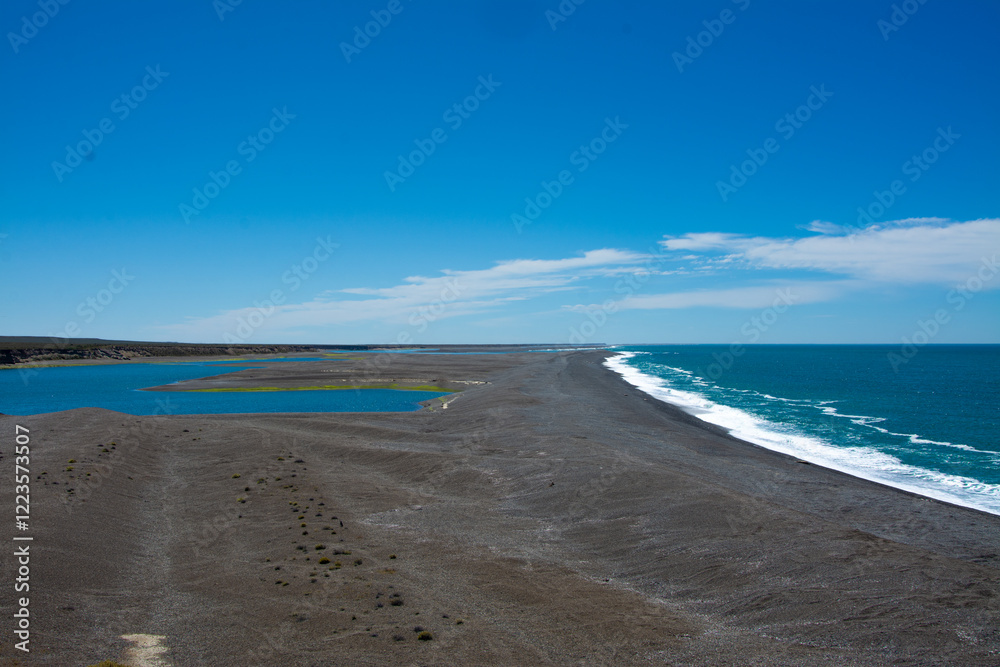 Fototapeta premium Península Valdés Argentina, Puerto Madryn Patagonia