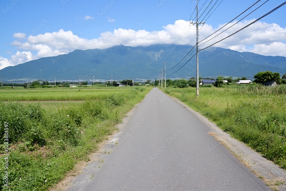 Country road leads to mountains, rice paddies; summer day Country road leads to mountains, rice paddies; summer day