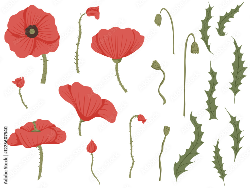 Fototapeta premium Poppy flower illustration in full blossom, with poppy pod and leaves. Vector set with red petals, green buds and leaves isolated on white.Template for branding, product, web, textile, print, packaging