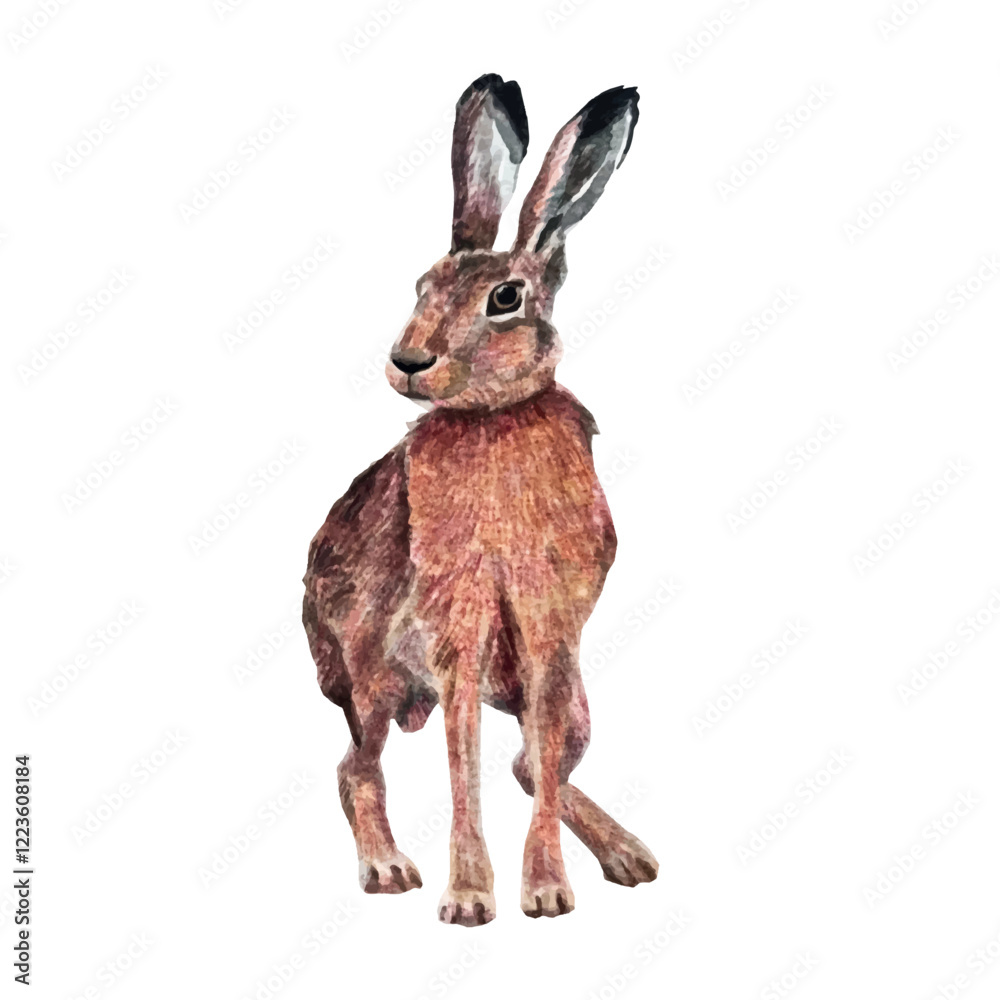 Obraz premium Vector freehand watercolor illustration of a cute brown bunny, isolated on a white background. Hand drawn watercolour Hare. Soft, detailed, and perfect for designs or prints