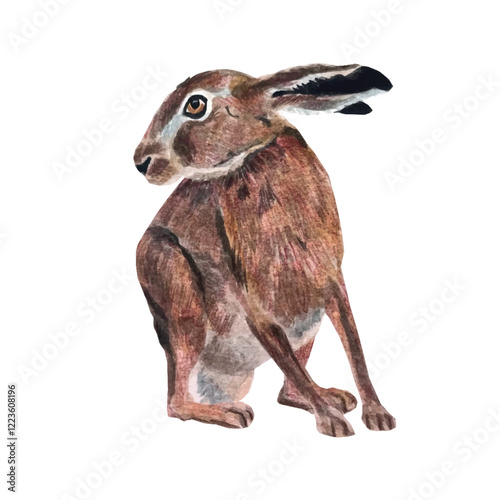 Vector freehand watercolor illustration of a cute brown bunny, isolated on a white background. Hand drawn watercolour Hare. Soft, detailed, and perfect for designs or prints