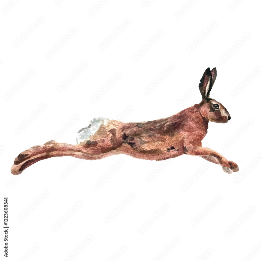 Fototapeta premium Vector freehand watercolor illustration of a cute brown bunny, isolated on a white background. Hand drawn watercolour Hare. Soft, detailed, and perfect for designs or prints