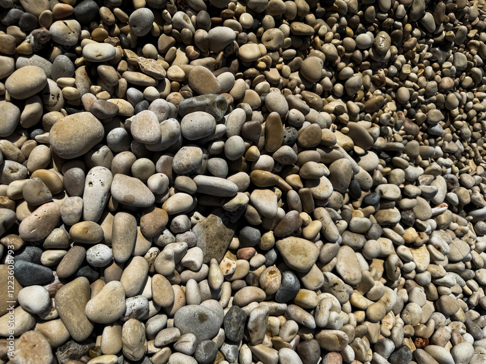 Various smooth stones collected from a riverbank during a sunny day Various smooth stones collected from a riverbank during a sunny day