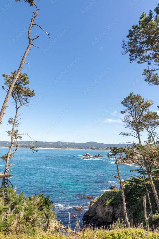 scenic landscape at Point Lobos state national reserve national park in California scenic landscape at Point Lobos state national reserve national park in California