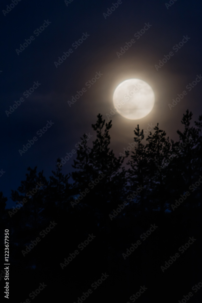 Full moon shining over dark forests in Finland Full moon shining over dark forests in Finland