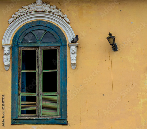 Pigeon of the Columba livia species perched on a decorated white frieze of a blue window of an old house on an orange wall with an old metal lamp
