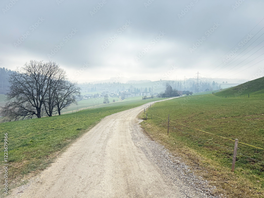 Obraz premium A dirt road stretching through a green countryside landscape under a cloudy sky. Power lines are visible on the left, adding contrast to the natural surroundings. The scene captures the calm and