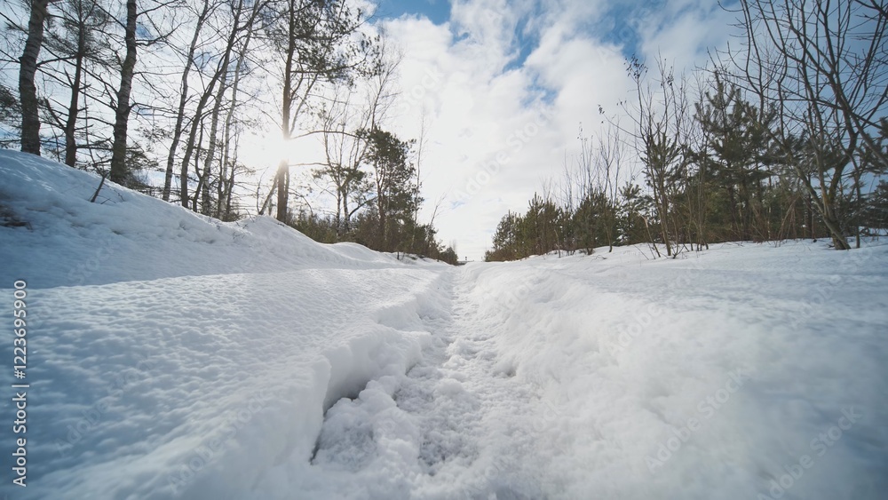 Snow covered path winding through a serene winter forest, illuminated by sunlight under a clear blue sky Snow covered path winding through a serene winter forest, illuminated by sunlight under a clear blue sky