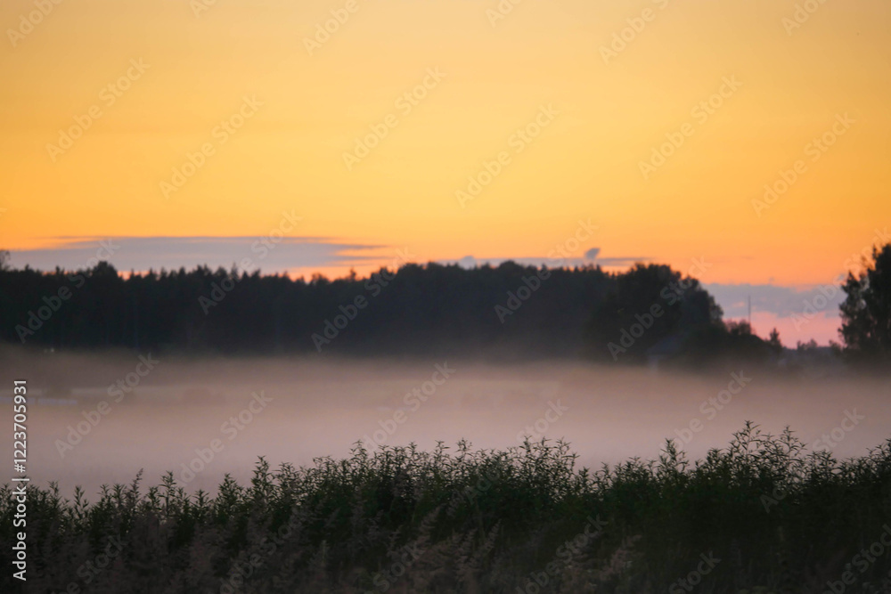 Fototapeta premium A tree branch is silhouetted against a sky with a pink and orange sunset. The sky is hazy and the sun is low on the horizon. Nature background. Calm and relaxing mood. Nobody.