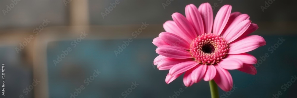 Single pink gerbera daisy with intricate details on a wooden stem, gerbera, flower Single pink gerbera daisy with intricate details on a wooden stem, gerbera, flower