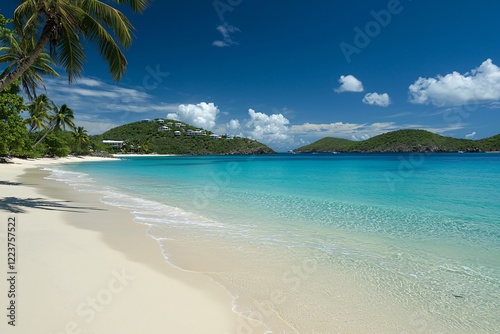 Serene beach with turquoise waters and palm trees under a clear blue sky  perfect for relaxation