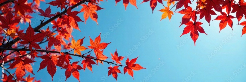 Colorful autumn branches with red and brown leaves against a blue sky , branch, blue Colorful autumn branches with red and brown leaves against a blue sky , branch, blue