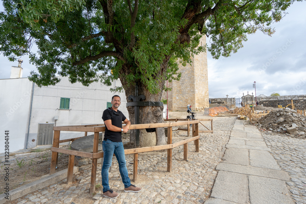 Ash tree with a sword surrounding the trunk, giving rise to the name of the locality Freixo de Espada á Cinta. Ash tree with a sword surrounding the trunk, giving rise to the name of the locality Freixo de Espada á Cinta.