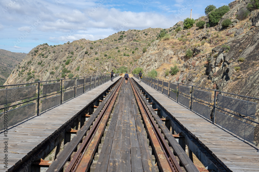 Fototapeta premium Train line and tunnel belonging to the current tunnel route between la Fregeneda and Barca D Alva.