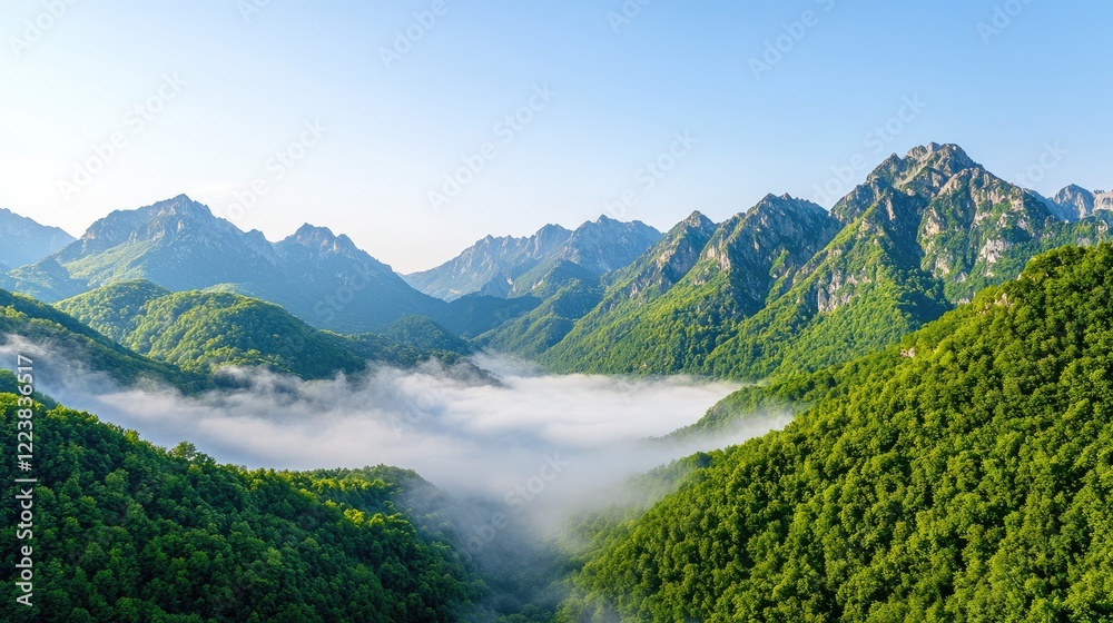 Misty Mountain Valley Sunrise Landscape. Travel postcard or calendar Misty Mountain Valley Sunrise Landscape. Travel postcard or calendar