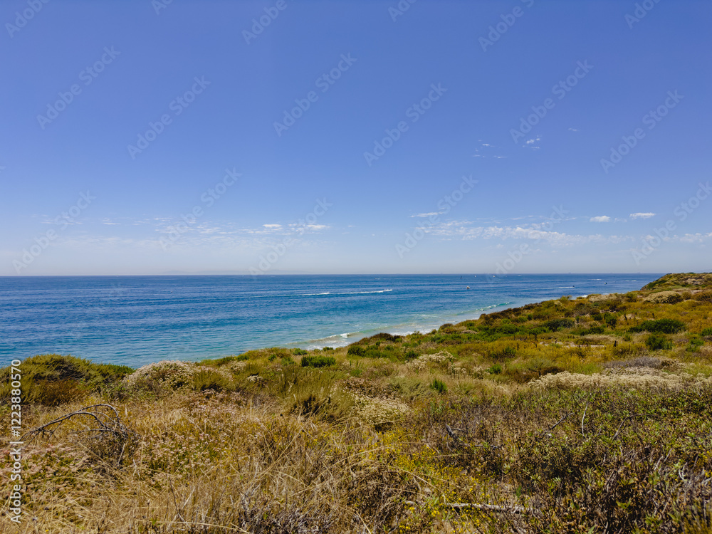 coast of the ocean coast of the ocean
