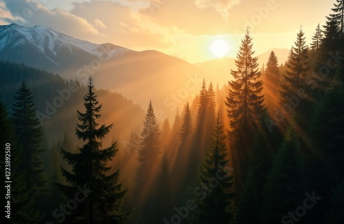 Sunrise rays pierce through misty autumn forest. Pine, spruce trees stand tall in dense mountain forest. Sunlight creates dramatic shadows. Misty atmosphere fills valley. Scenic aerial view. Autumn photo