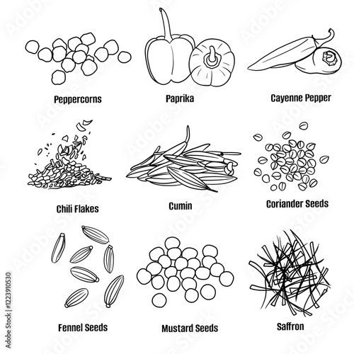 Hand drawn vector sketch set of Spices illustration line art, Peppercorns, Paprika, Cayenne Pepper, Chili Flakes, Cumin, Coriander Seeds, Fennel Seeds, Mustard Seeds and Saffron. Seasoning food design