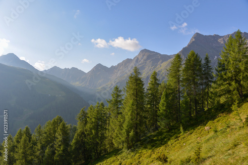 Weisse Spitze, Rote Spitze and Degenhorn, highest mountains of Villgraten mountains, east tyrol, austria