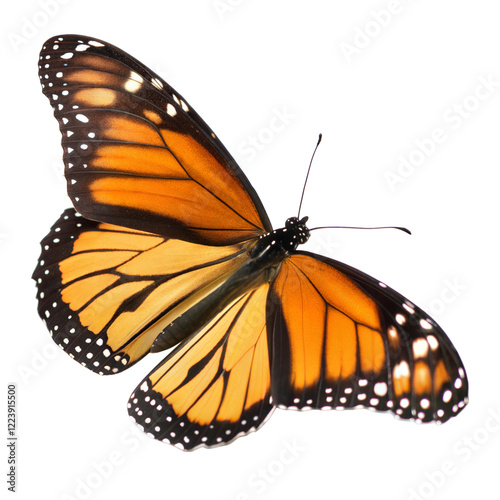 Butterfly AI Generated Image