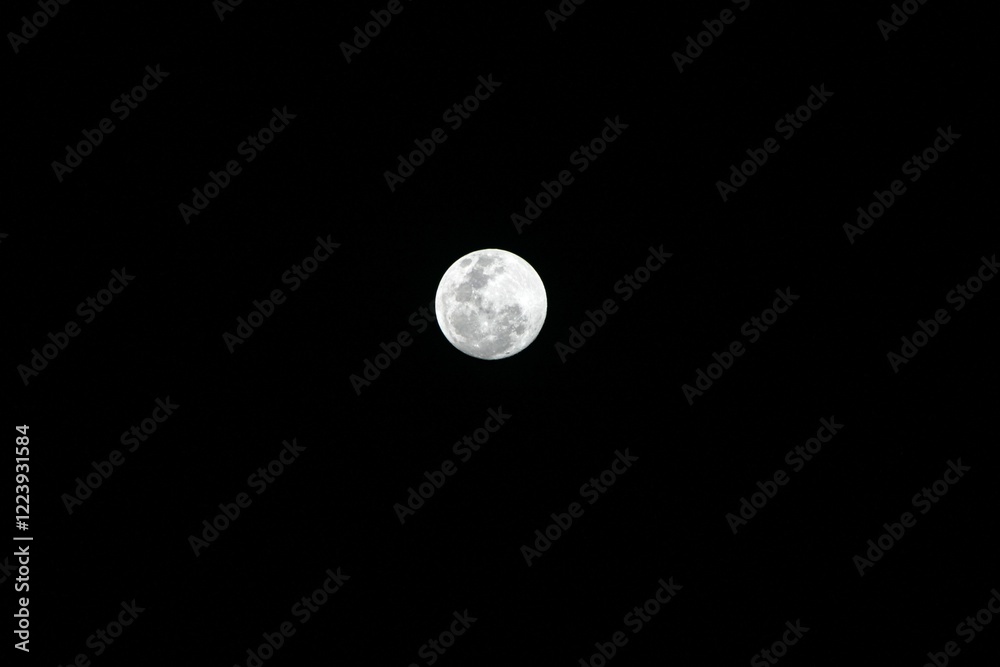 LUNA NUEVA LUNA NUEVA