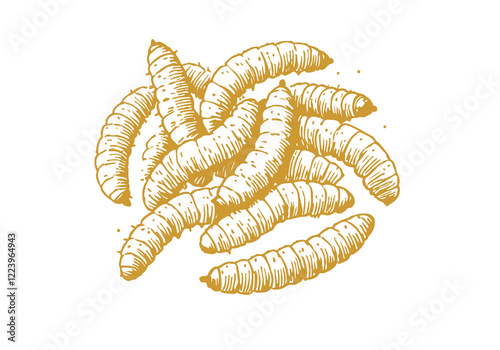 Black soldier fly maggots hand drawn Illustration Sketch Vector Isolated