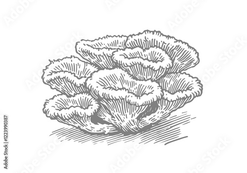 Fungi hand drawn Illustration Sketch Vector Isolated