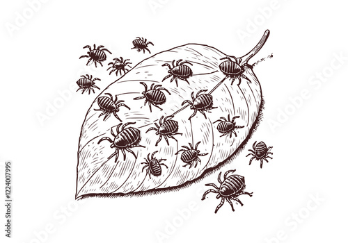 mites hand drawn Illustration Sketch Vector Isolated