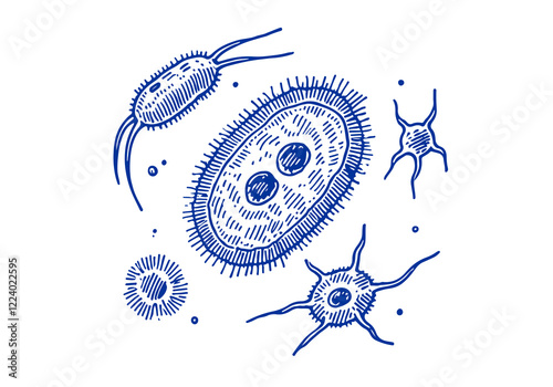 Protozoa hand drawn Illustration Sketch Vector Isolated