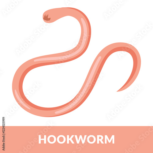 Hookworm Design Vector Illustration