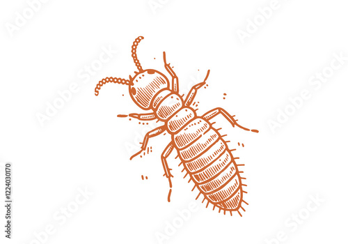 Termite hand drawn Illustration Sketch Vector Isolated