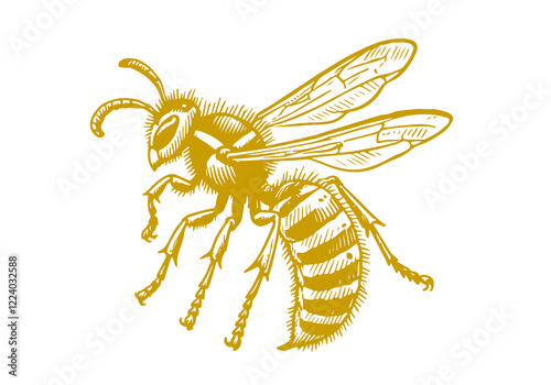 Yellowjacket hand drawn Illustration Sketch Vector Isolated