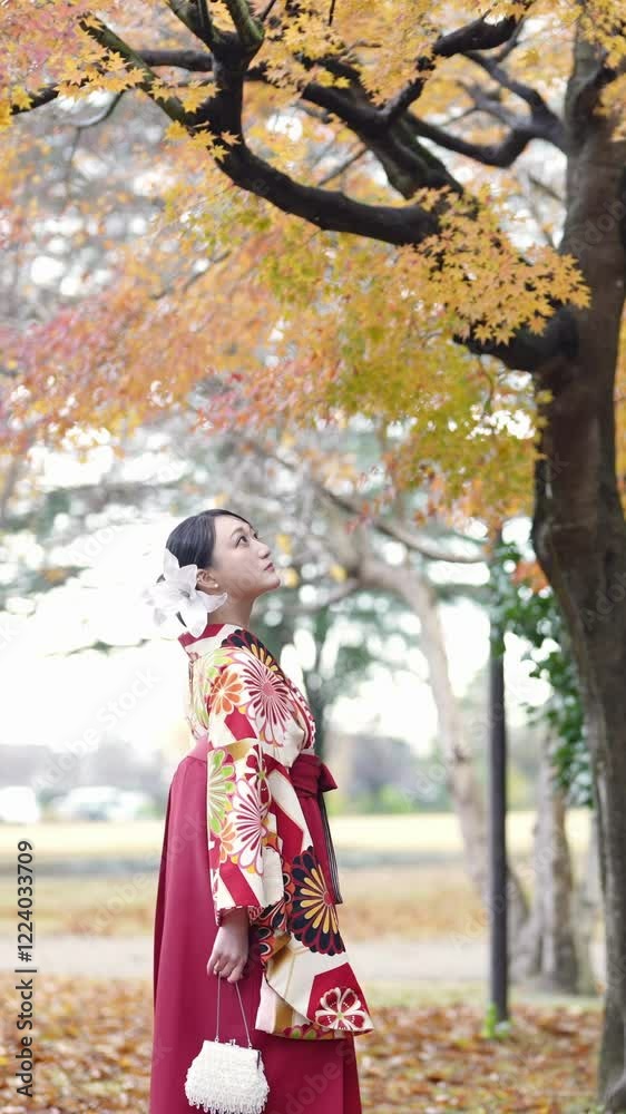 A young woman in her 20s wears a traditional graduation ceremony Hakama (kimono) in Japan and is walking in a beautiful place in front of a traditional Japanese house. A young woman in her 20s wears a traditional graduation ceremony Hakama (kimono) in Japan and is walking in a beautiful place in front of a traditional Japanese house.