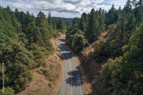 A road with trees on both sides and a clear sky
