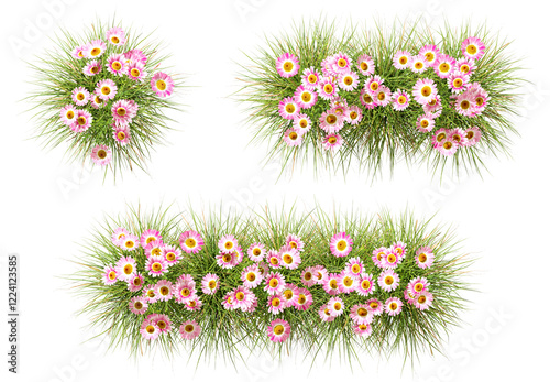 Top view pink blossoms row fields set transparent backgrounds 3d illustration png