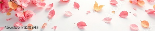 Softly fallen paper petals scattered on white background, soft focus, fall leaves, paper texture