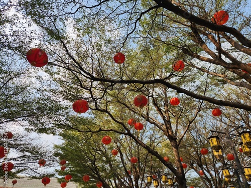 Red Lanterns Under Trees: Vibrant red lanterns hang from the branches of trees, creating a festive and enchanting atmosphere. The scene is bathed in sunlight, adding warmth and brightness.