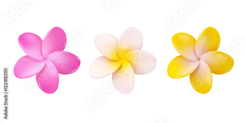 Frangipani flower vector 3d set. Collection of tropical plumeria flowers isolated on white background. Summer design elements