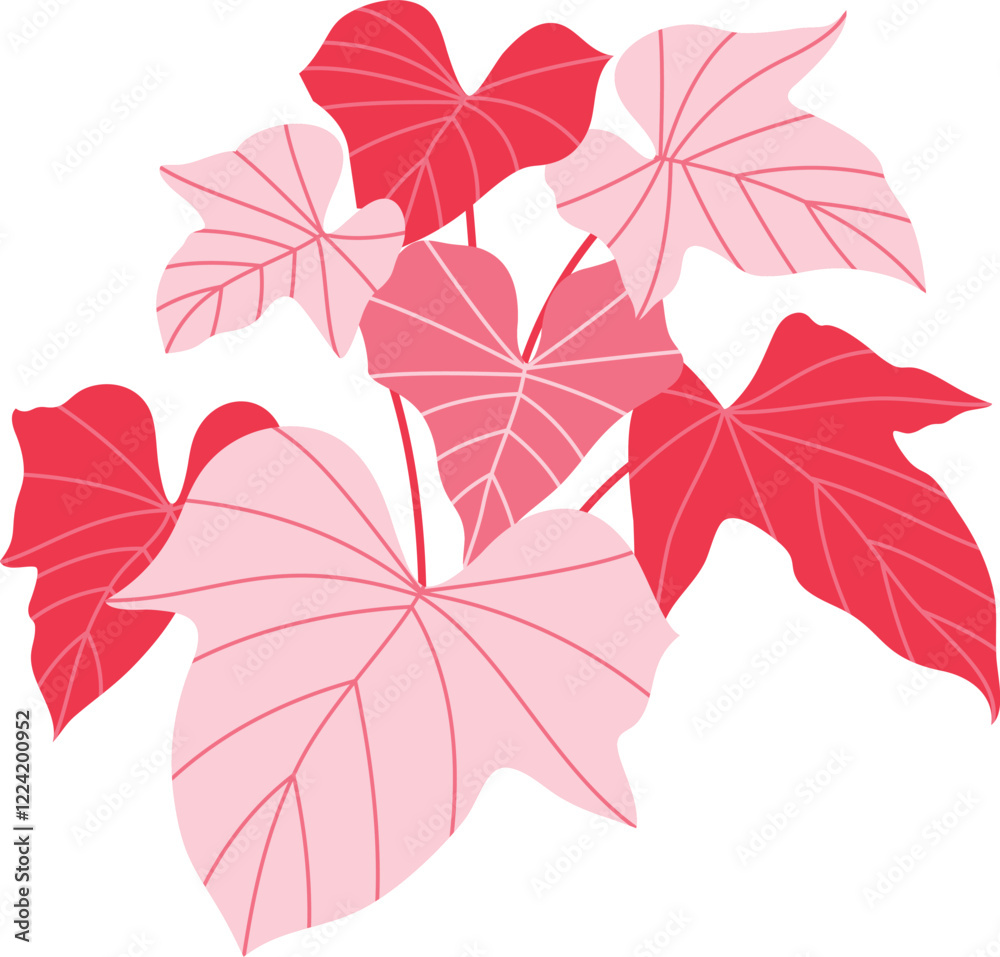 Fototapeta premium red leaves isolated on white