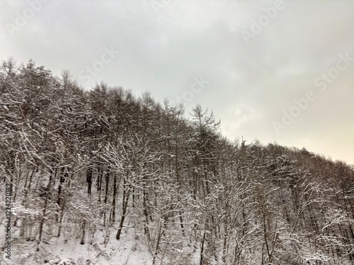 Winter landscape with snow