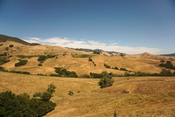 Central California landscape with hills trees and open field
